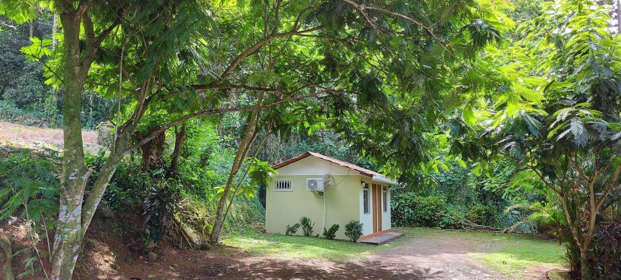 Hostal Y Cabinas Anita-And Rafting Tour! Siqurres Da Alegria エクステリア 写真