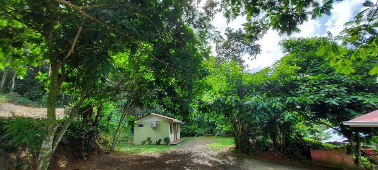 Hostal Y Cabinas Anita-And Rafting Tour! Siqurres Da Alegria エクステリア 写真