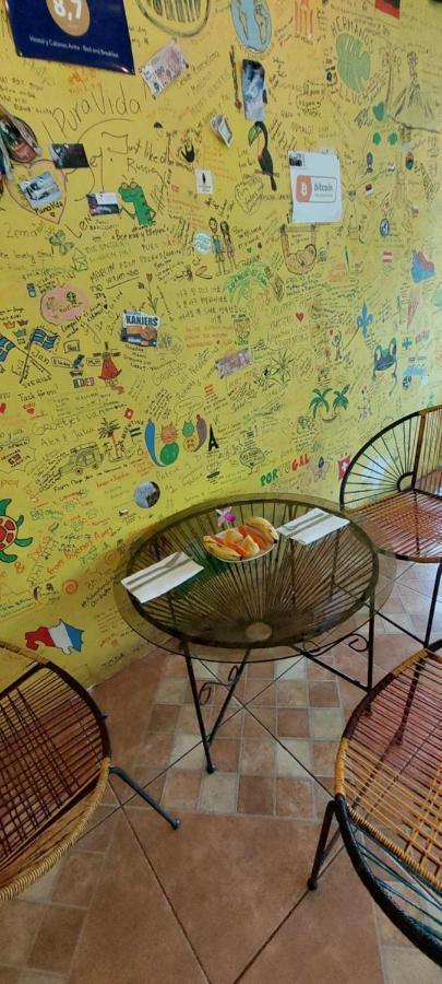 Hostal Y Cabinas Anita-And Rafting Tour! Siqurres Da Alegria エクステリア 写真